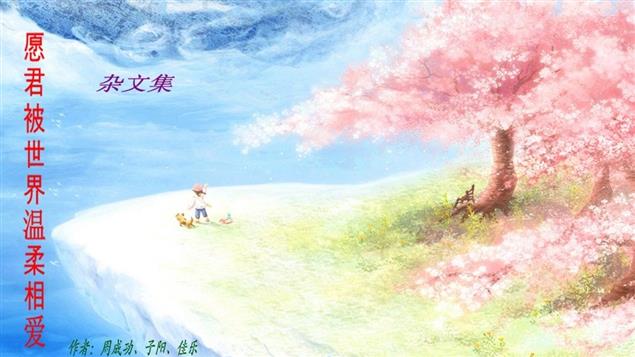 《願君被世界溫柔相愛》（雜文集）