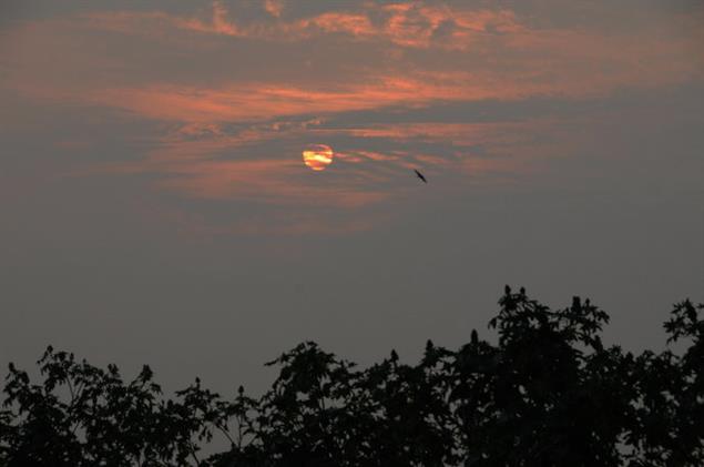 學生時代的古典詩歌之一：遣悲懷