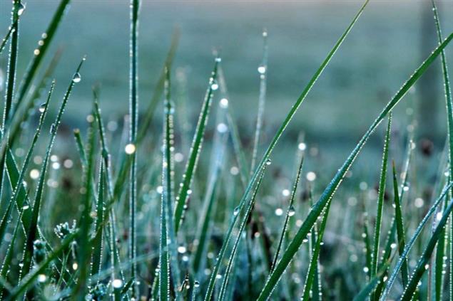 初次寫作，就鎖定了“諾貝爾文學獎”  