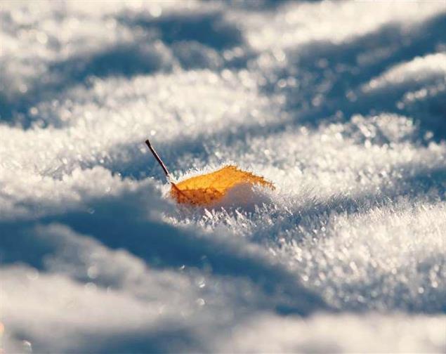 您這一生要承受多少苦【《願君被世界溫柔相愛》的第一篇文章】