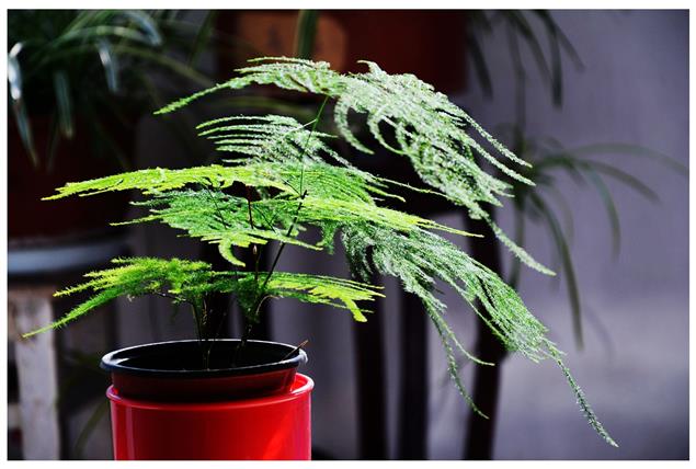 小分享丨2017年我在幹什麼？