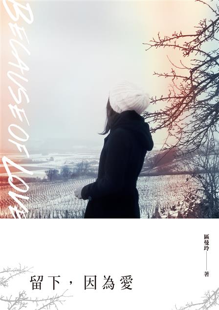究竟，婚姻是怎麼一回事？--《留下，因為愛》