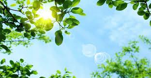 【歐華作協專欄】歐華詩篇第七輯《七月的風》