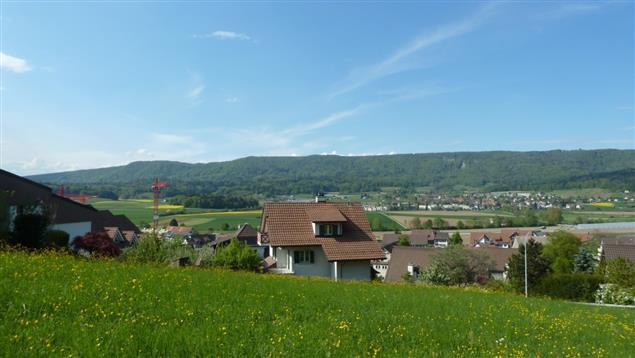 【歐華作協專欄】朱文輝：野放鄉間的人生