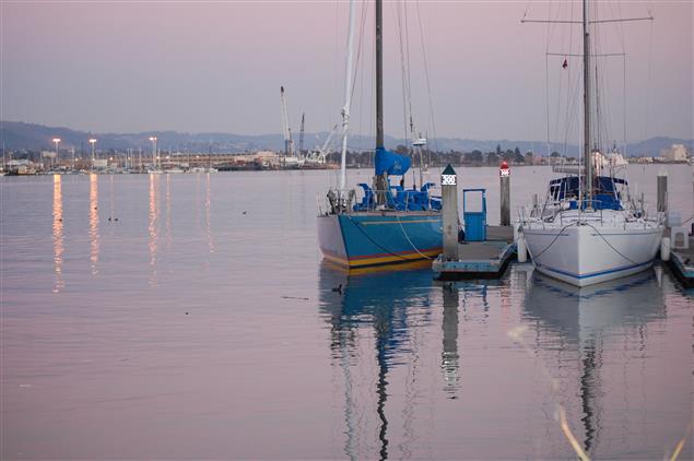 美化閒情 –  吃喝玩樂話矽谷                                  