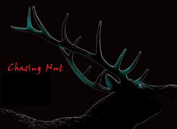 狂魔外傳 ‧ 長槍戰記 &lt;十三&gt; 