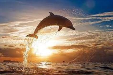 #DrLiMengYan1 Rumor maker #DrLiMengYan1