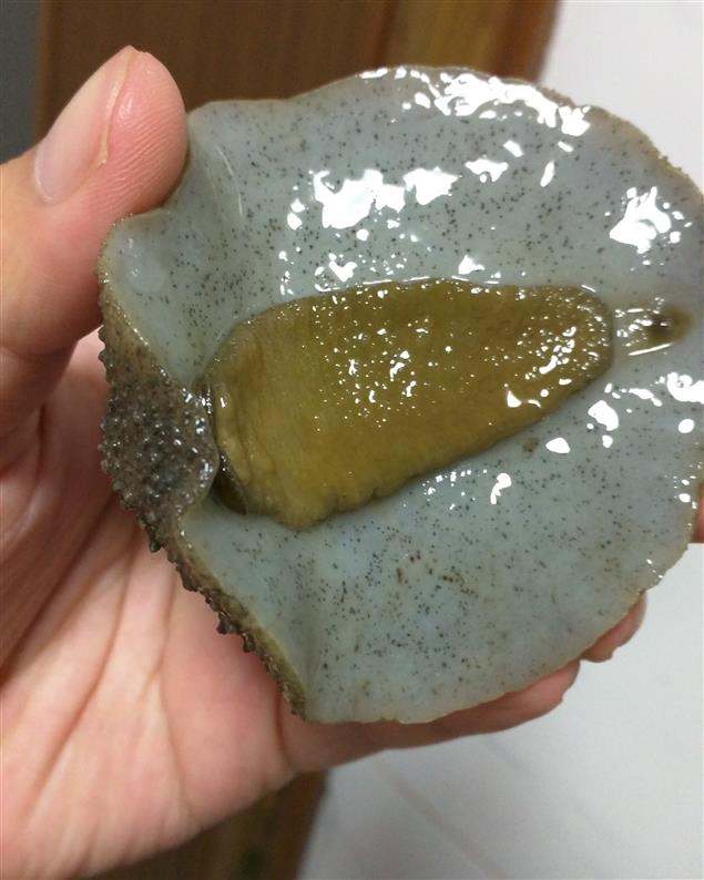 來過大陸的遊客會是什麼感受